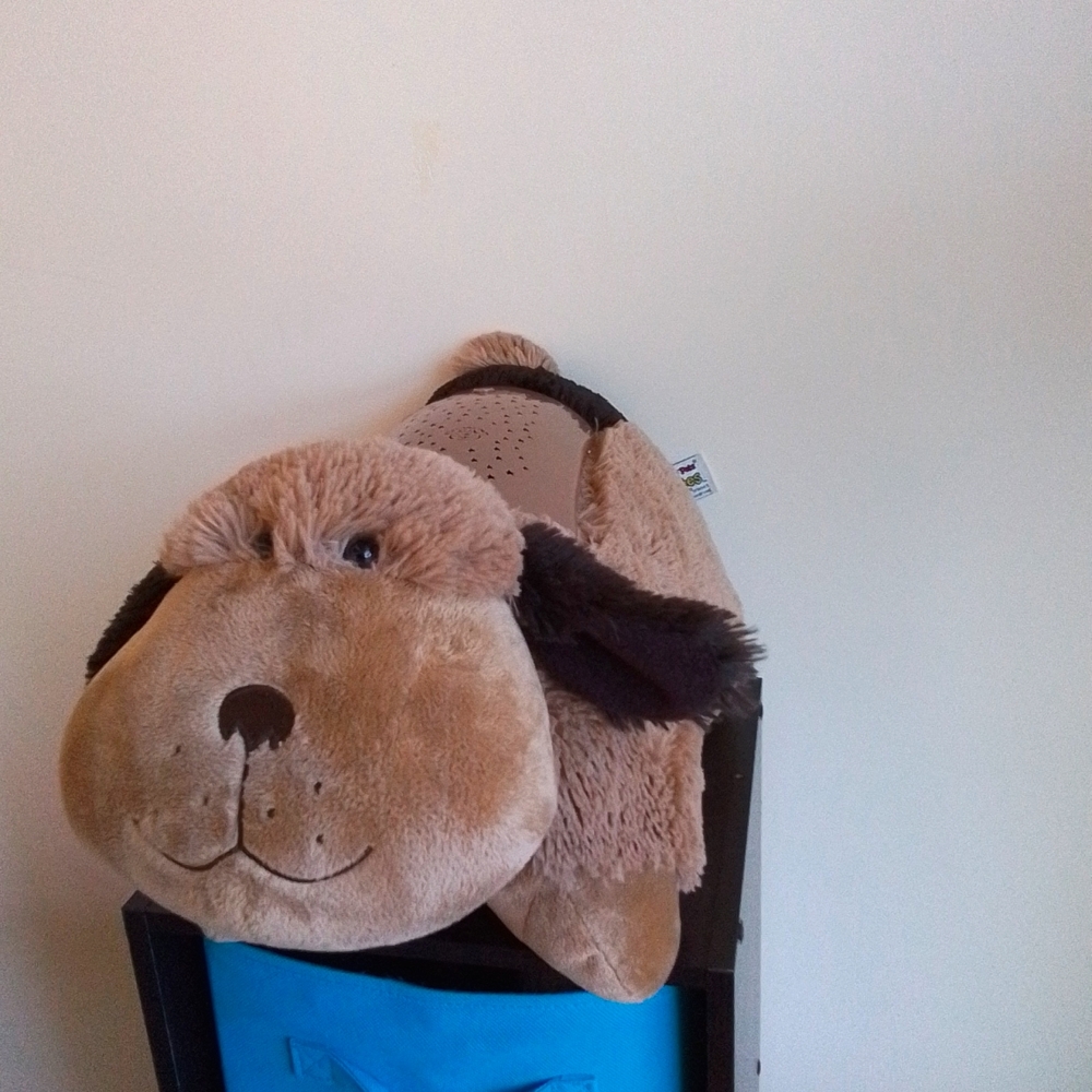 Dream Lites dog pillow pet